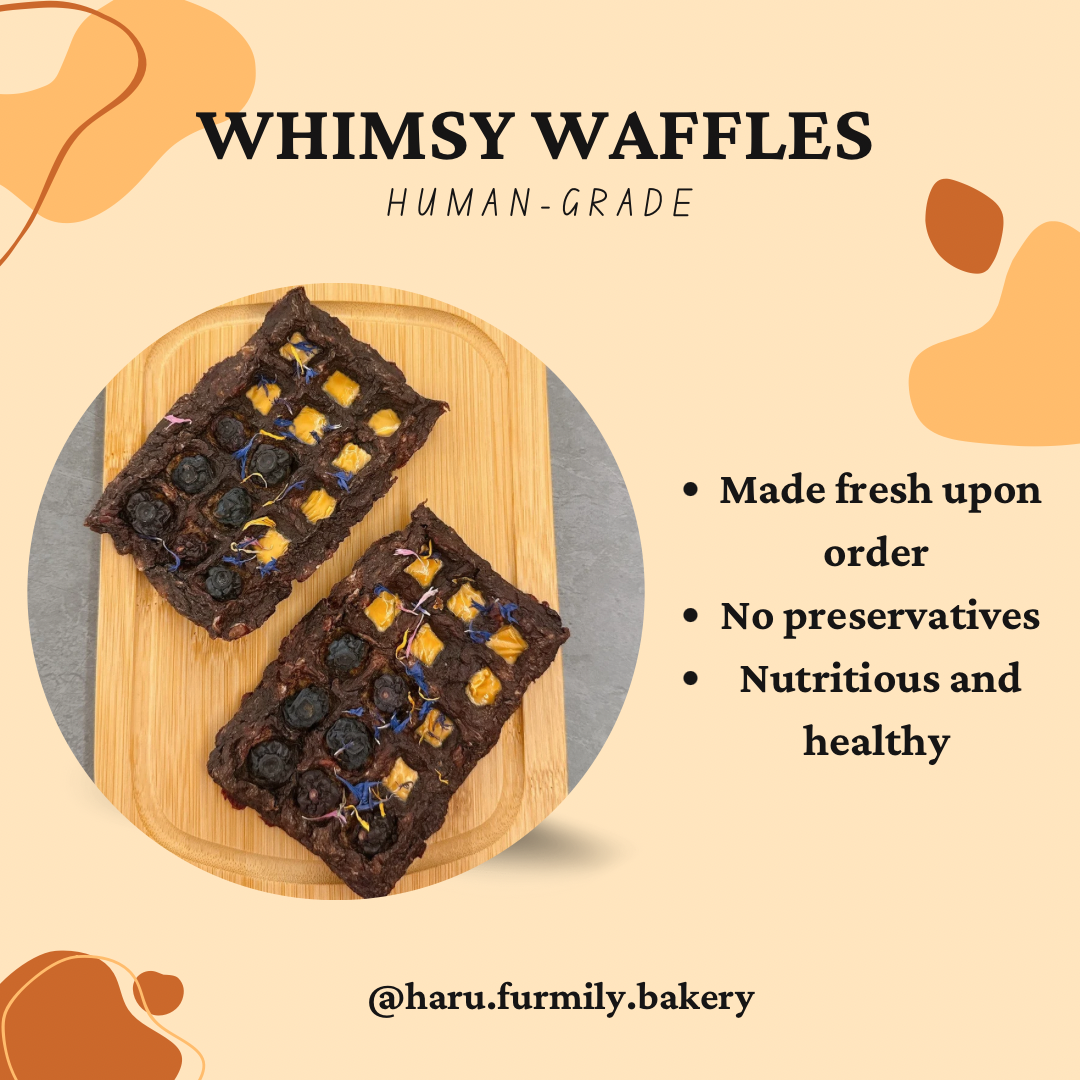 Whimsy Waffles_1