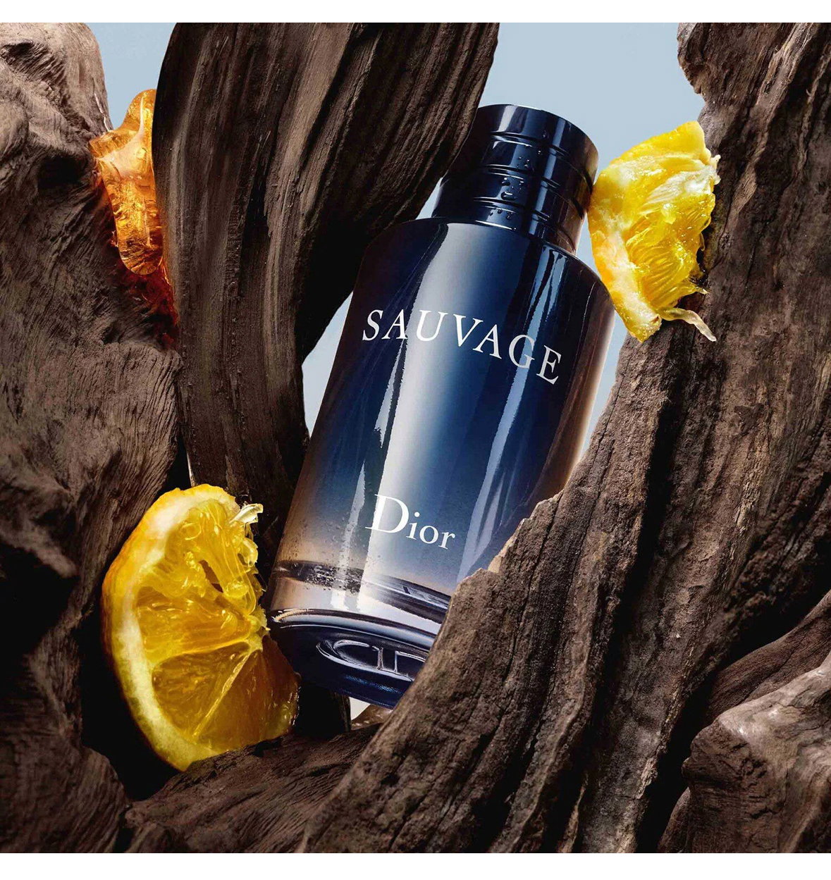 SAUVAGE EAU DE TOILETTE _1