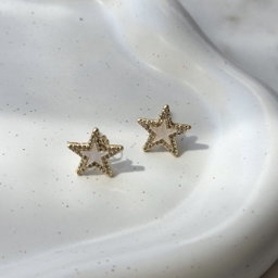 Shiny Gold Star Earring