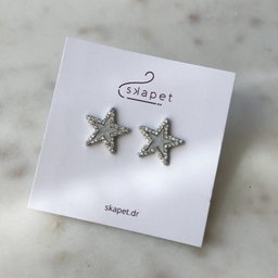 Shiny Star Silver Earring