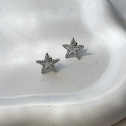 Shiny Star Silver Earring