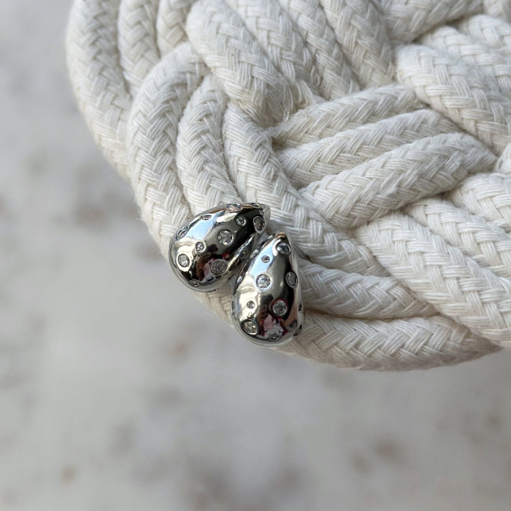 Shiny Silver Drop Earring_1