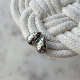 Shiny Silver Drop Earring