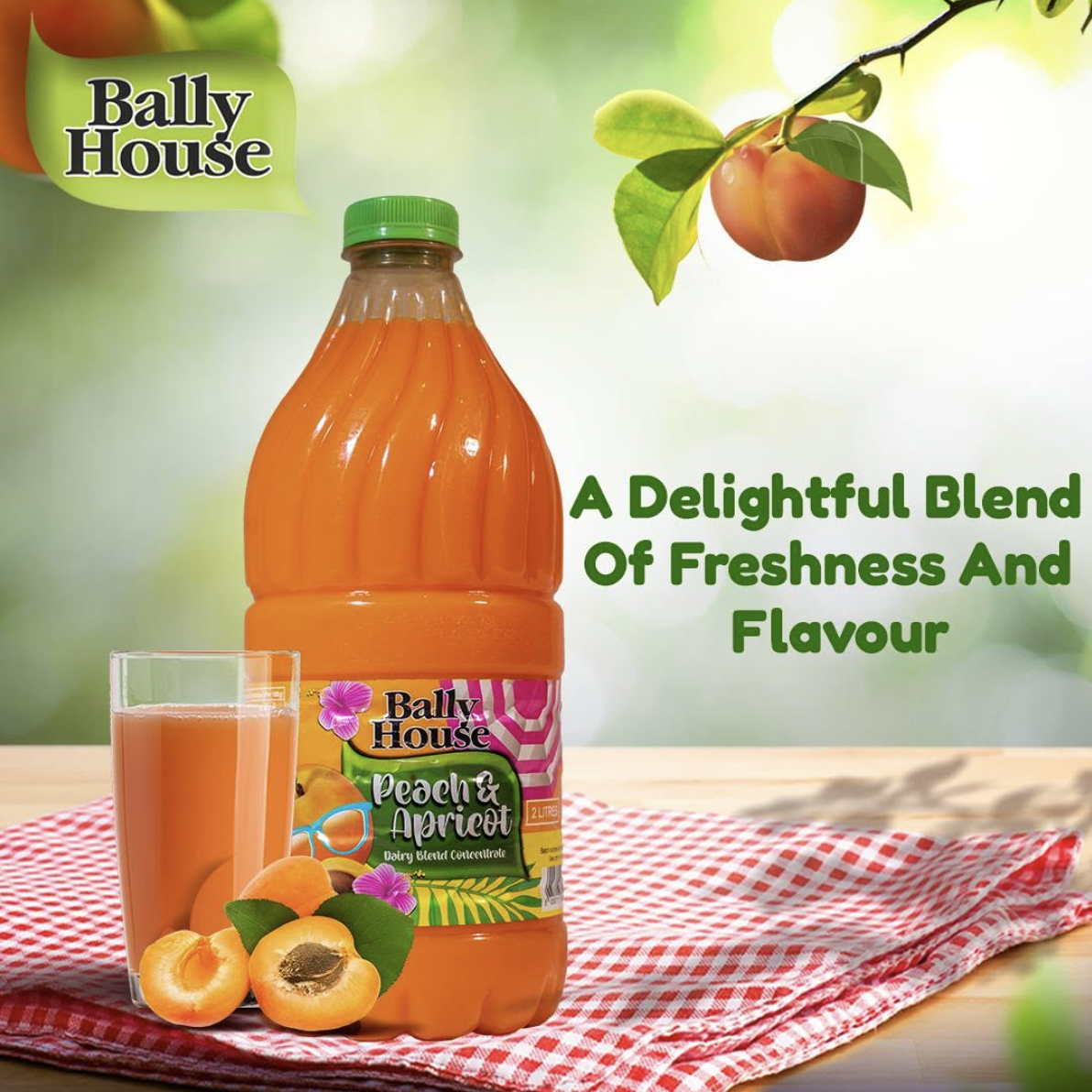 Bally House Products_0