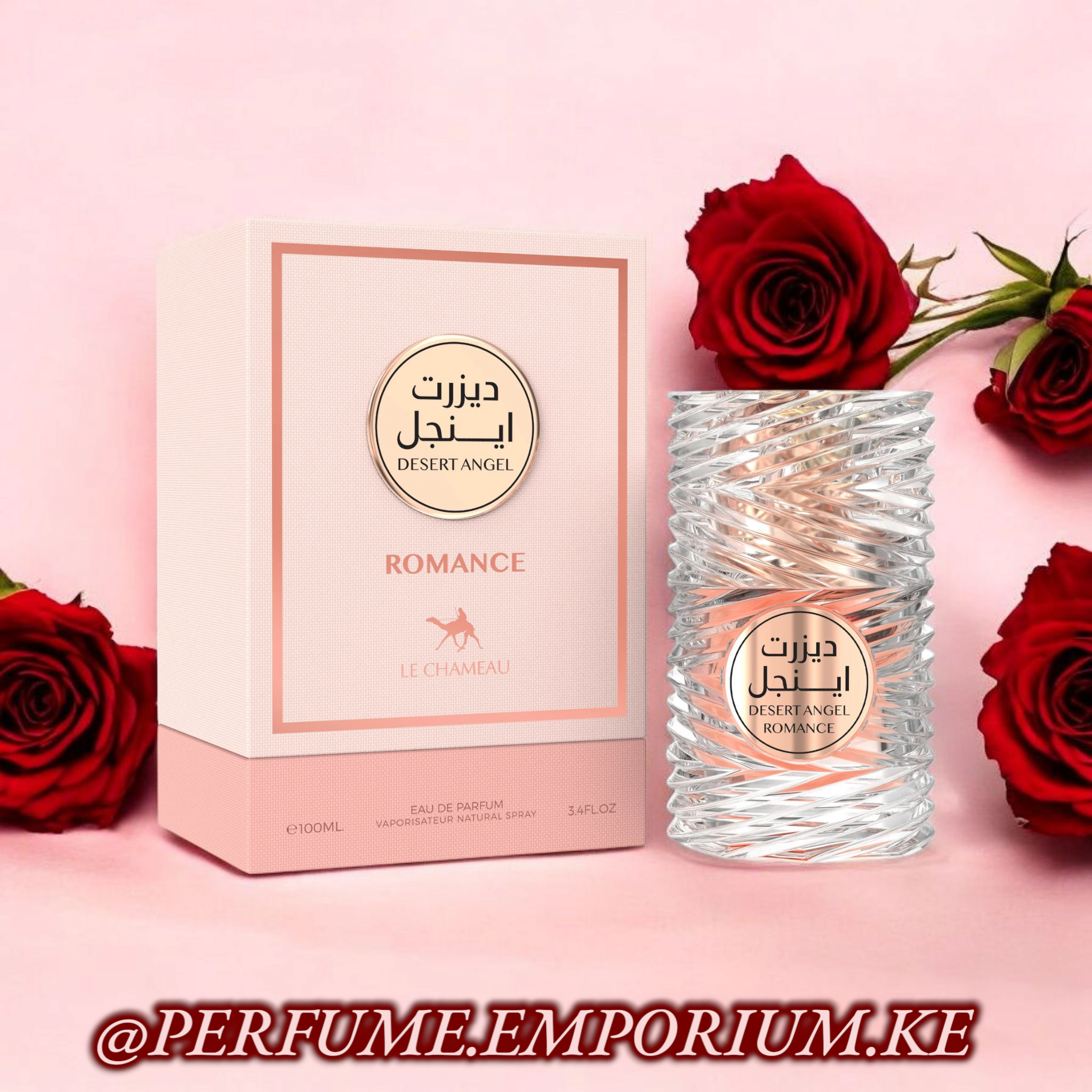 DESERT ANGEL ROMANCE_0