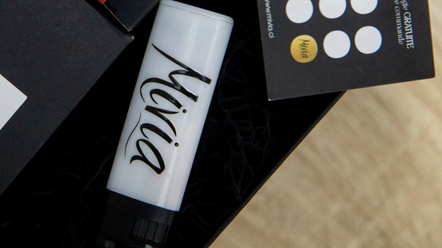 Briquet MIVIA_2