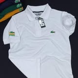 Casual Polo T shirt