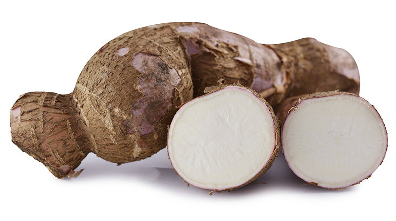 Yuca