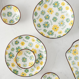 16 PCS CERAMIC DISH SET