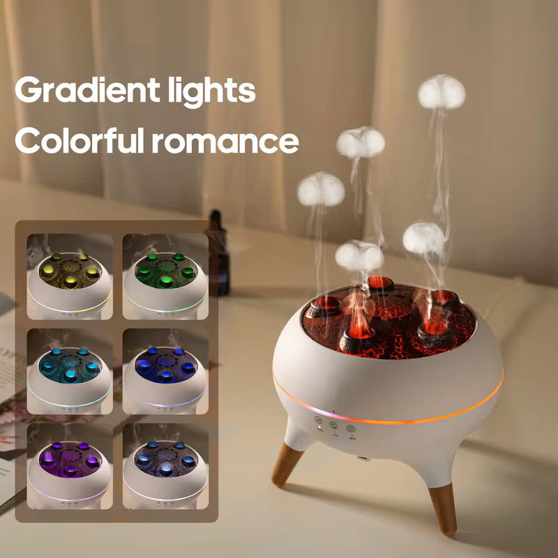 DIFFUSEUR DE SENTEUR APPARTEMENT _3