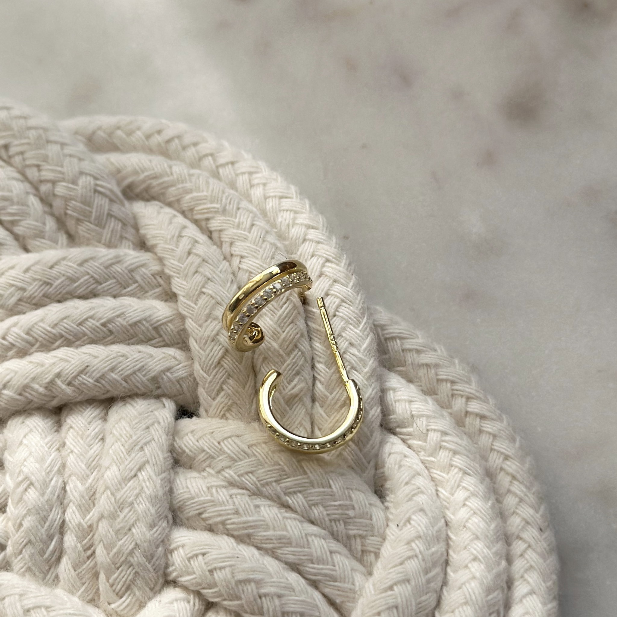 Ginnie Hoops_0