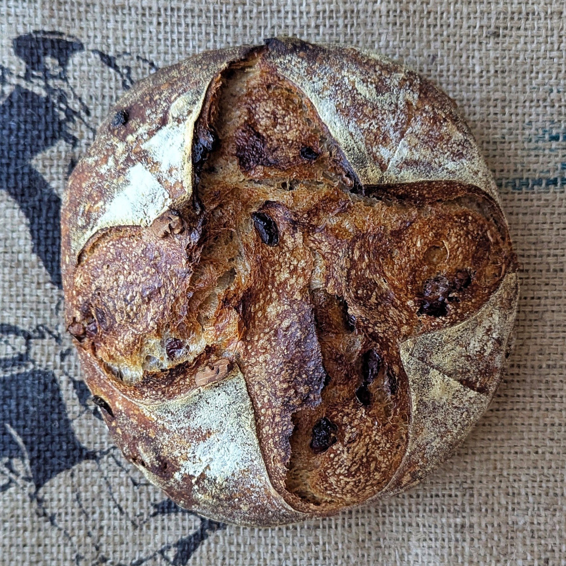 KAMILLA Walnut and Cranberry Sourdough Bread _0