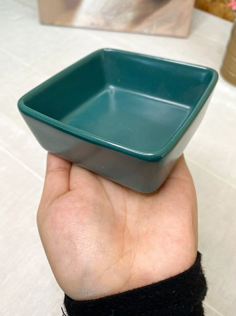 [BUY 1 FREE 1] CERAMIC TABLEWARE CR08_7
