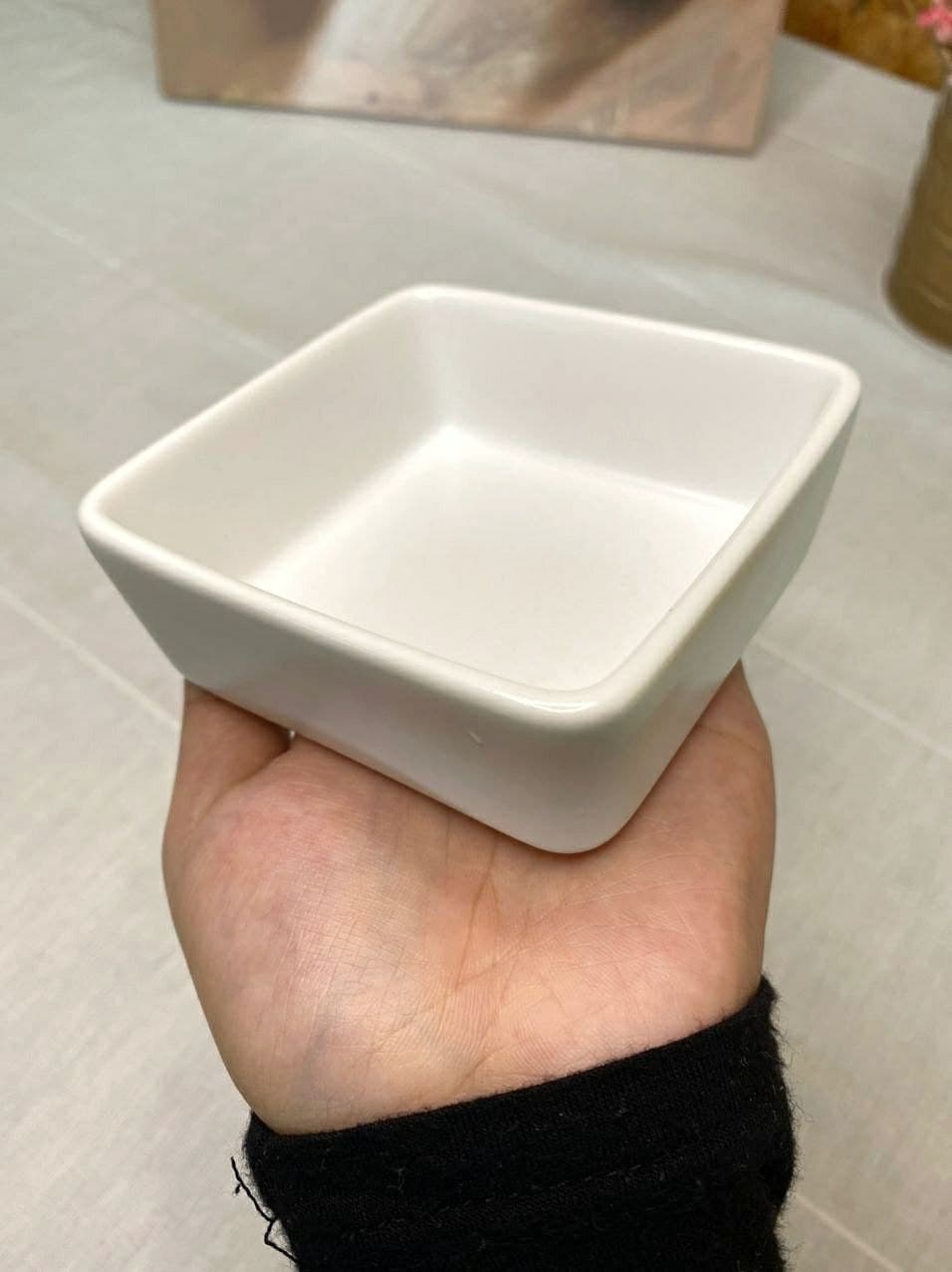 [BUY 1 FREE 1] CERAMIC TABLEWARE CR08_9