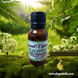 Eucalyptus Oil (20ml)