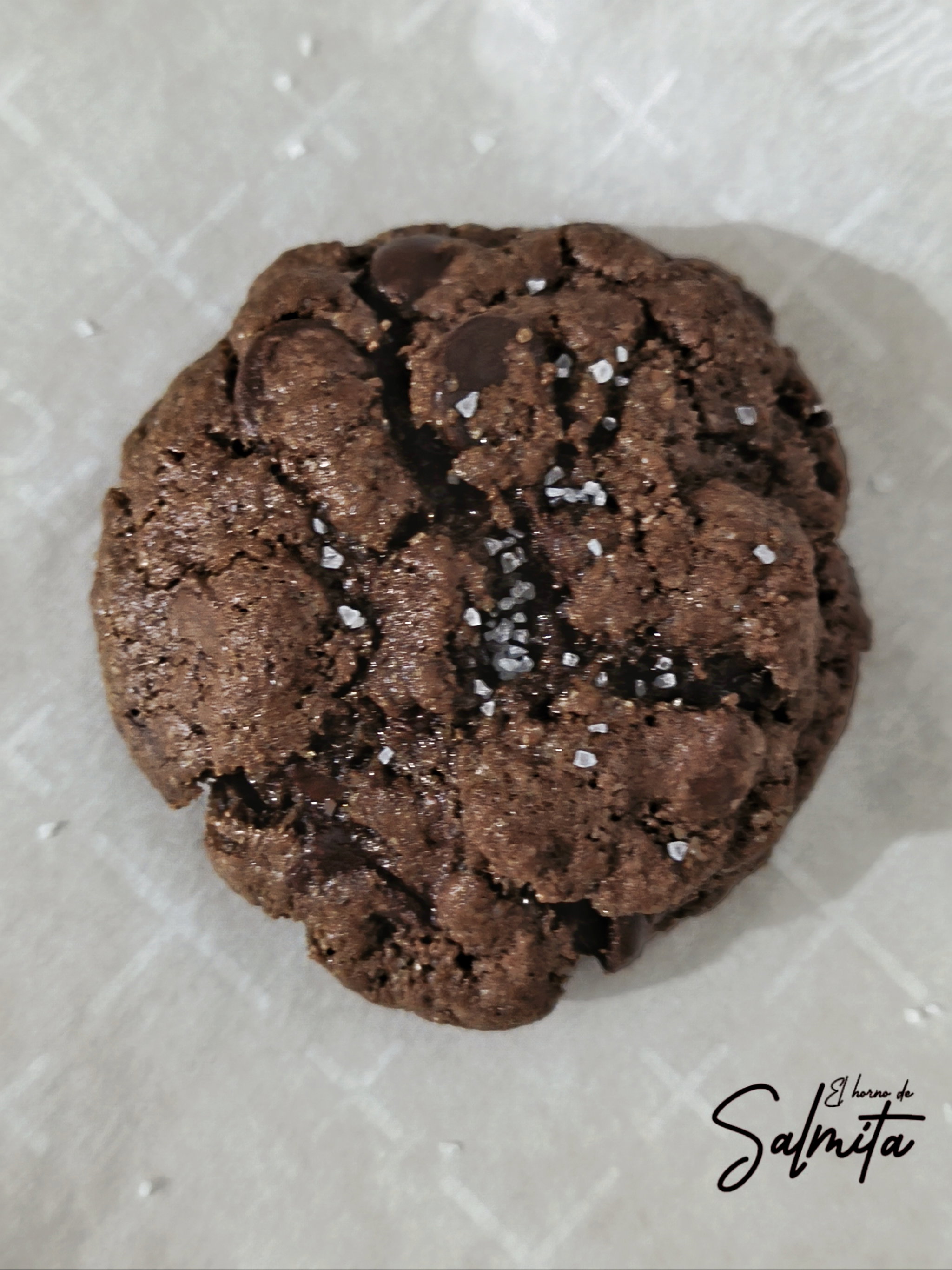 Galleta Tres Chocolates_0