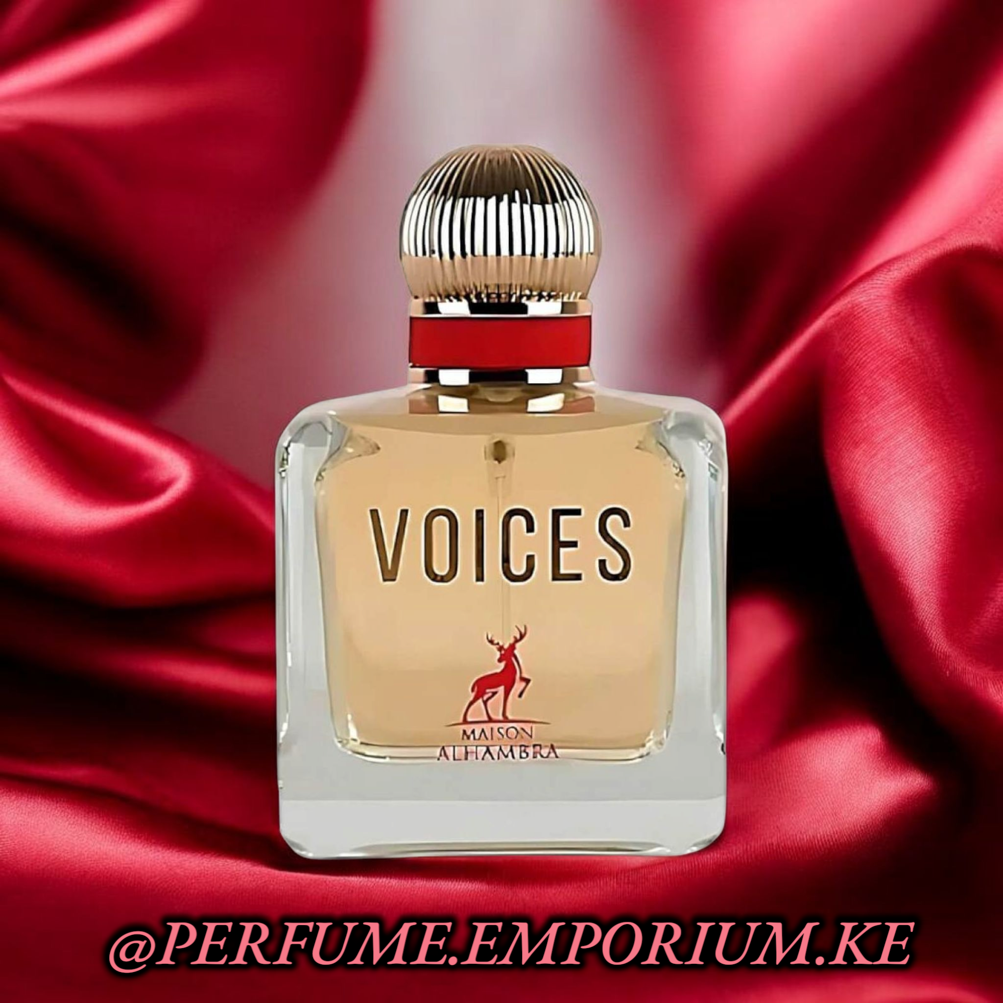 VOICES_0