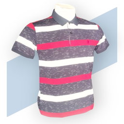 Polo T-shirts for Men 