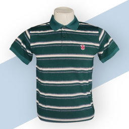 Green lining Polo neck design for Men 