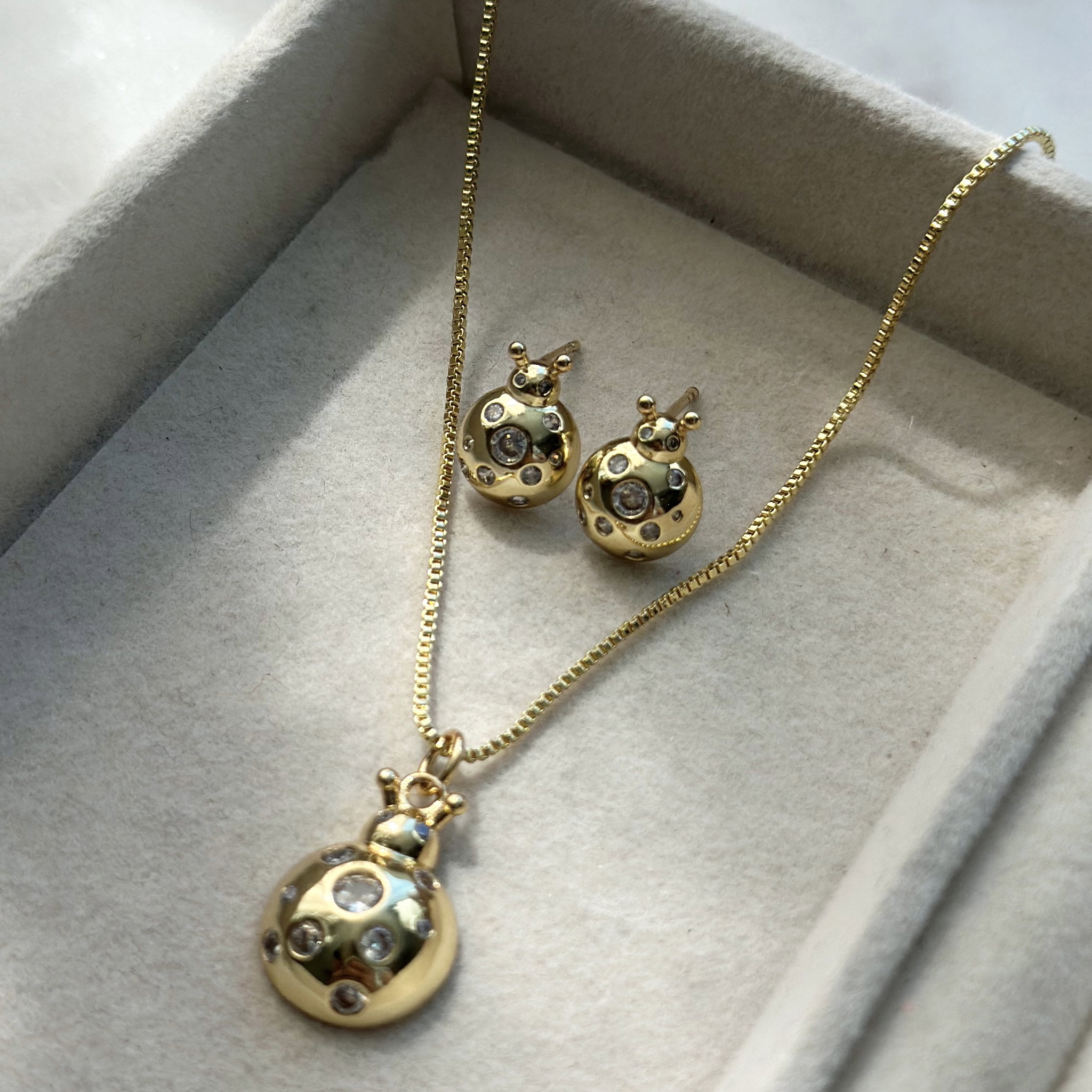 Zirc Ladybug Set _0