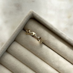 Chain Ring
