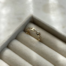Chain Ring
