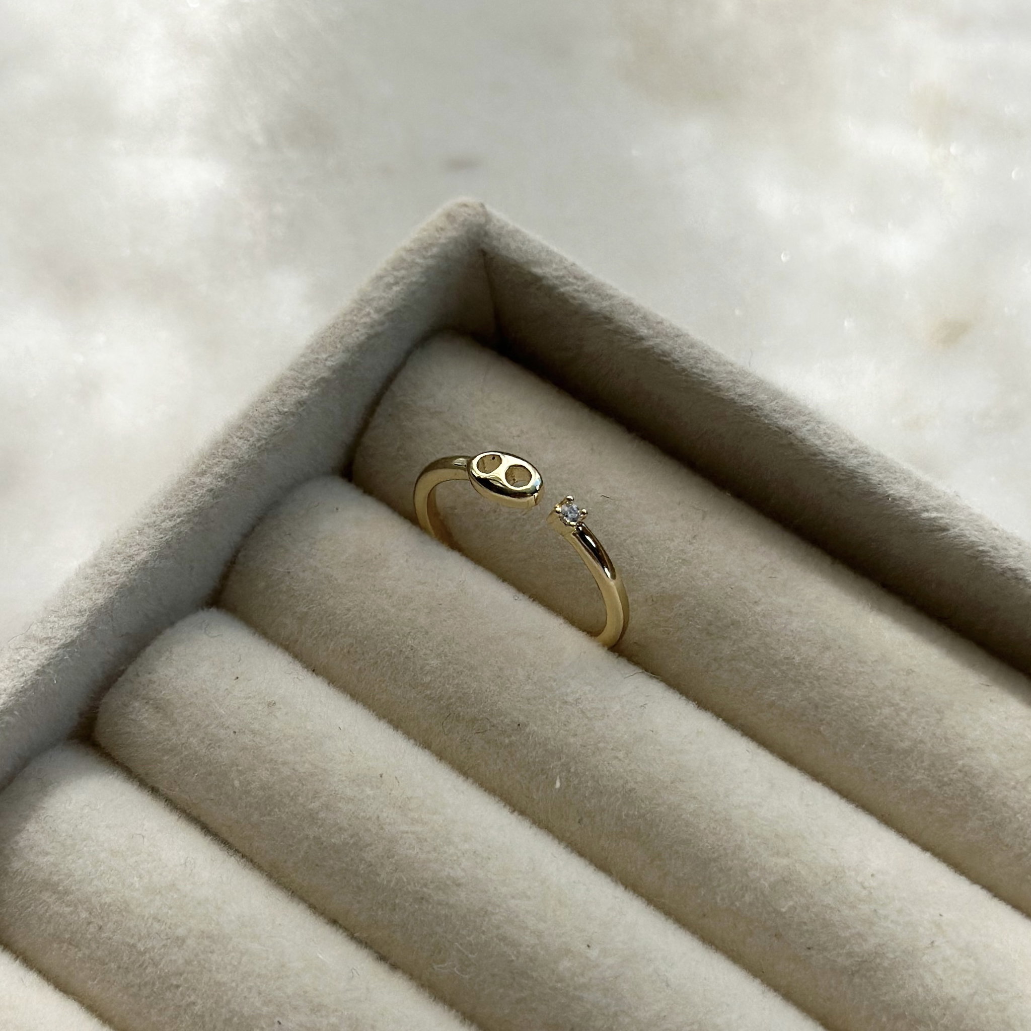 Pin Ring_0