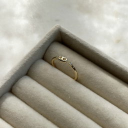 Pin Ring