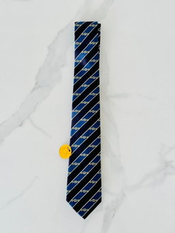 Gravata Gucci - blue stripes 