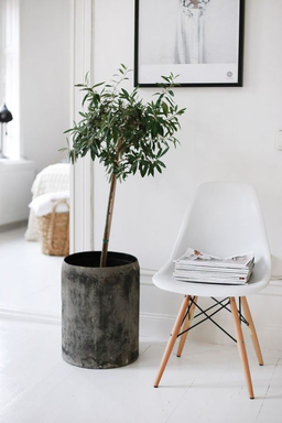 NORDIC CHAIR WOODEN LEGS (KERUSI KAYU)