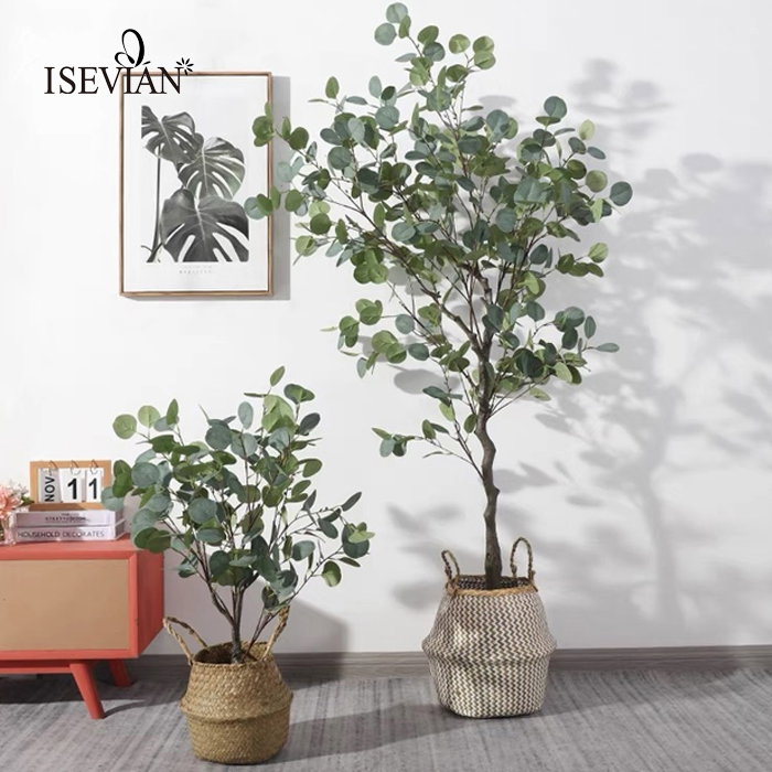 PREMIUM TREE EUCALYPTUS GREEN_1
