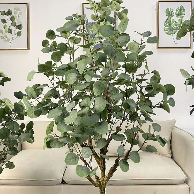 PREMIUM TREE EUCALYPTUS GREEN_2