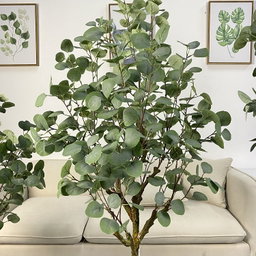 PREMIUM TREE EUCALYPTUS GREEN