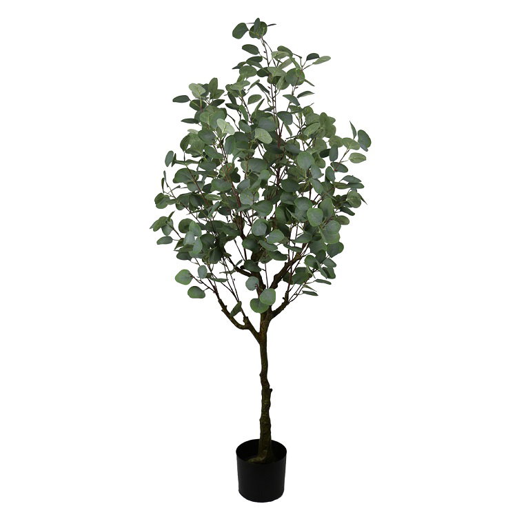 PREMIUM TREE EUCALYPTUS GREEN_8