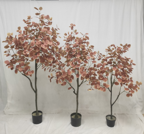 PREMIUM TREE EUCALYPTUS PINK_1