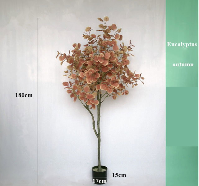 PREMIUM TREE EUCALYPTUS PINK_5