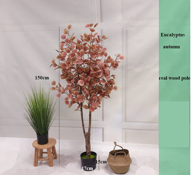 PREMIUM TREE EUCALYPTUS PINK_7