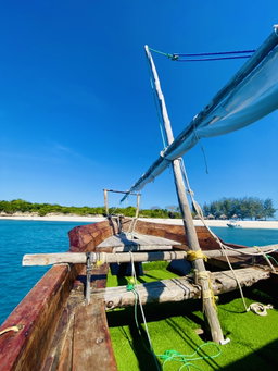 Luxury Dhow Day Trip
