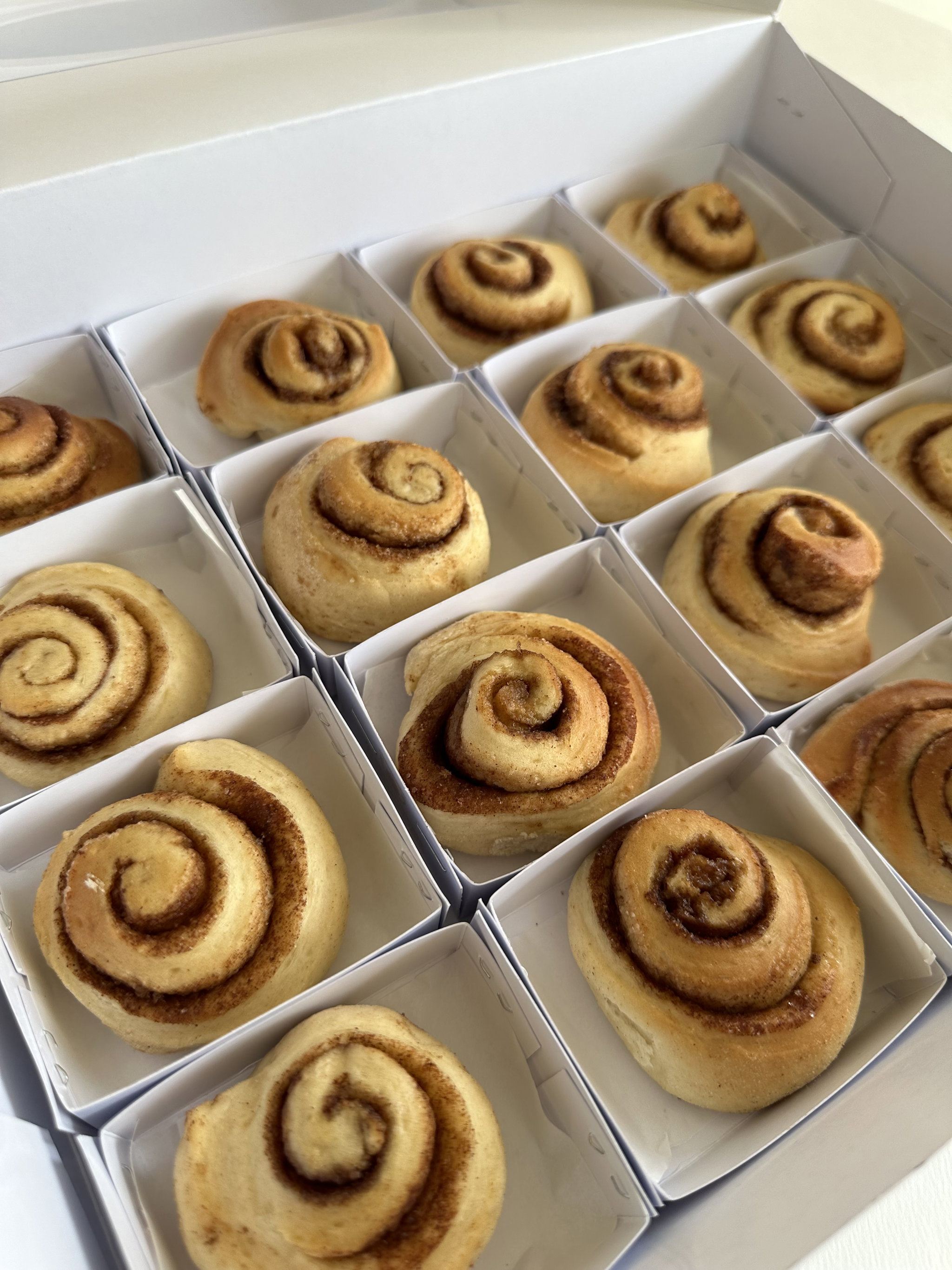 Cinnamon Rolls with Paper Plates_6