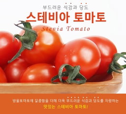 스테비아 방울토마토 Stevia Cherry Tomatoes