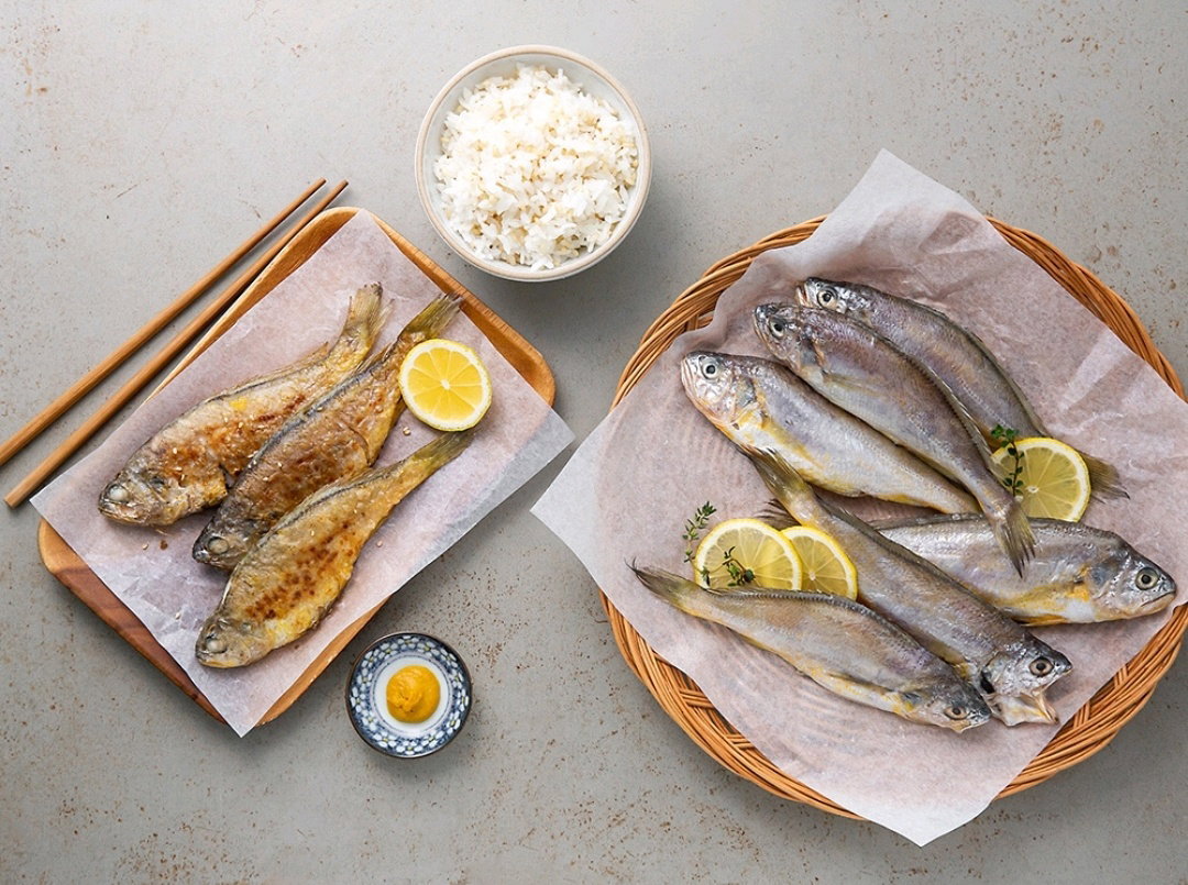 ๊ตญ์ฐ์กฐ๊ธฐ 6๋ฏธ 6 Korean Croakers