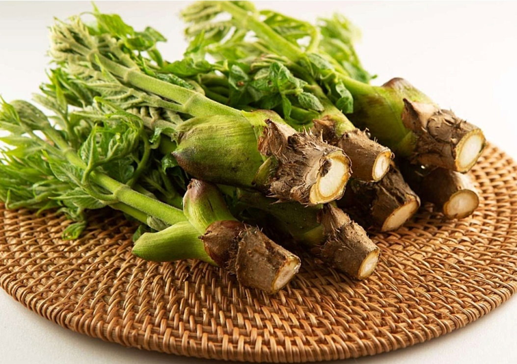 두룹250g  Toothed Ixeris Shoots 250g