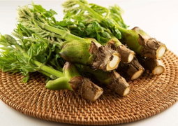 두룹250g  Toothed Ixeris Shoots 250g