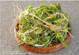 세척 손질 국산 냉이 300g  Trimmed Korean Shepherd’s Purse 300g