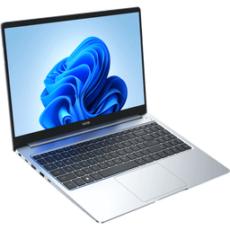 Megabook T1