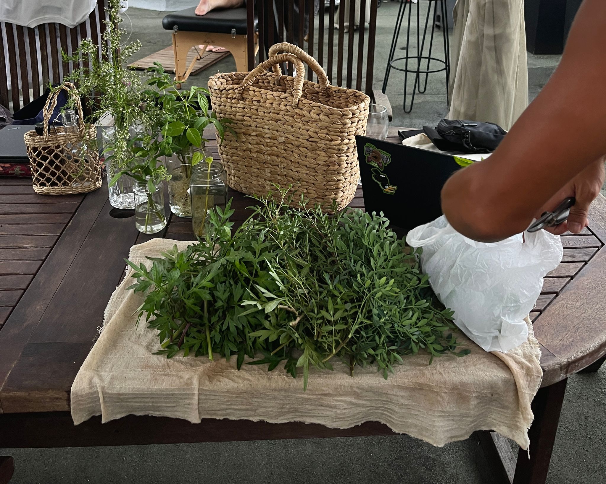 A Soft Launch: Of Garden Foraging & Kombucha Pairings [4.30pm]_2