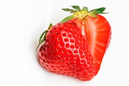Fruits