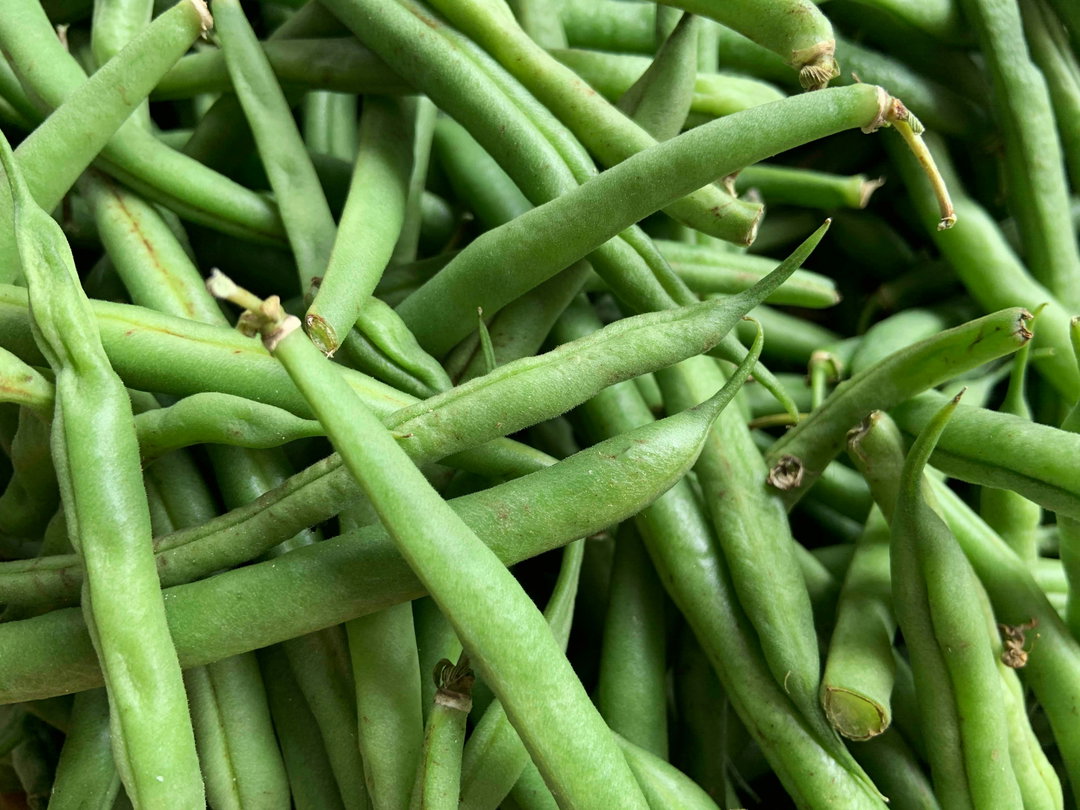 Haricots verts