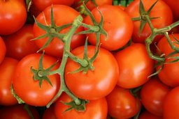 Tomates