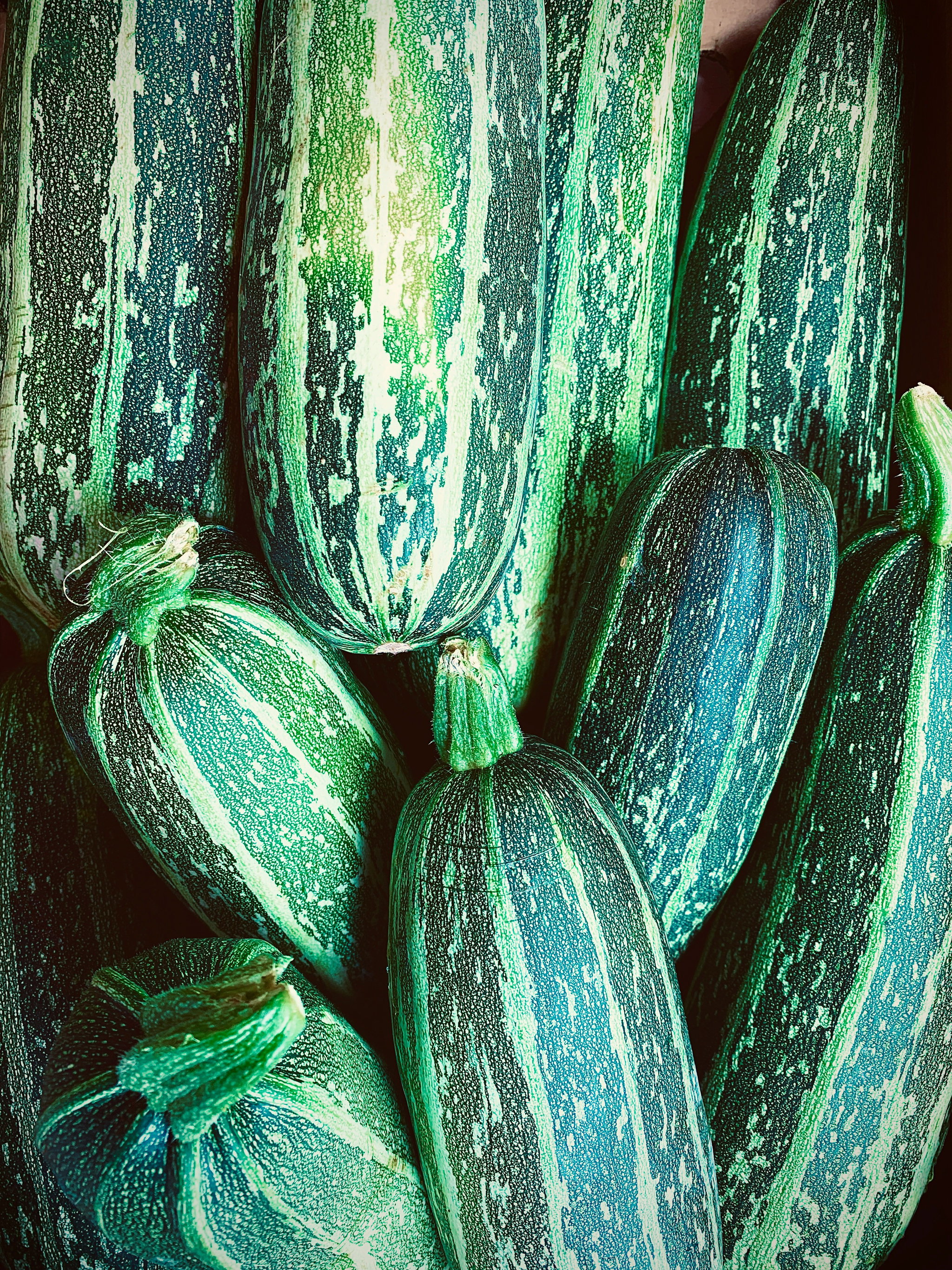 Courgettes_0